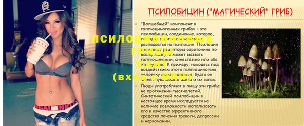 соль курить ск Надым