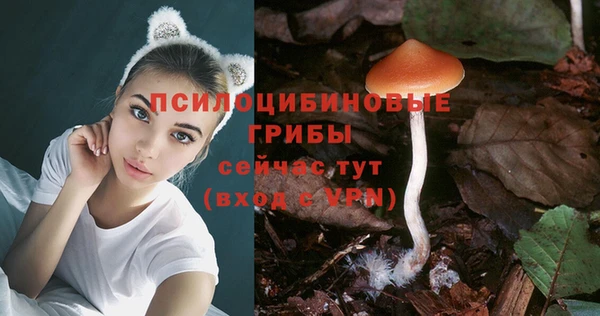 амфетамин Белокуриха