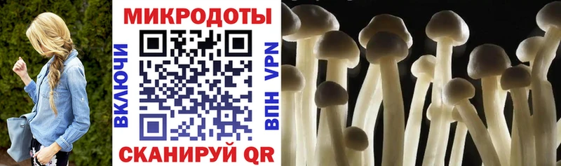Псилоцибиновые грибы прущие грибы магазин продажи наркотиков Моздок